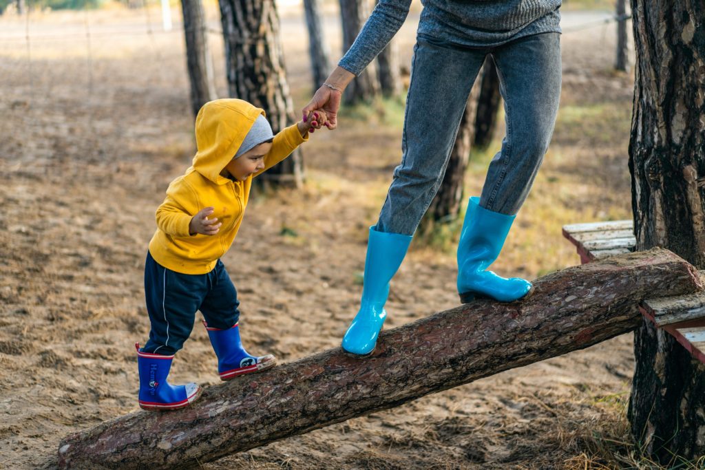 pexels oleksandr pidvalnyi 3036405