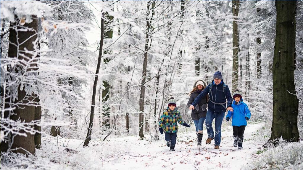 family walking in snowy woods istock 629724766 imgorthand
